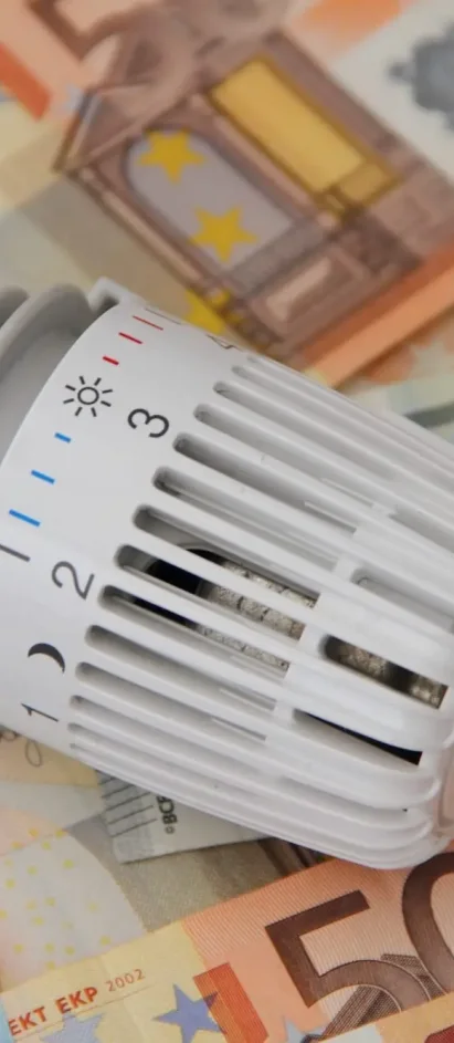 Geld sparen durch BAFA Zuschuss bei der Wohngebäude Sanierung