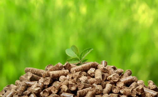 Holzpellets als erneuerbarer Energieträger für nachhaltige Heizsysteme